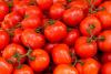 42 tons of “Italian” tomato sauce from Bulgaria seized in Brindisi