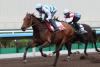 Hong Kong prepares for its stars in weekend horse racing