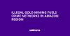 Illegal Gold Mining Fuels Crime Networks in Amazon Region