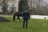 Horse nicknamed Seabiscuit captured after leading police on chase around New Jersey town