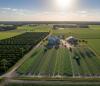 Florida Agriculture: A $11.3 Billion Powerhouse Driven by Efficiency and High-Value Crops