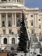PHOTOS: Nevada’s ‘Silver Belle’ Capitol Christmas Tree arrives in Washington, D.C.
