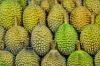 Myanmar's durian industry gears up for international exports