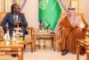 Saudi Arabia and South Sudan explore cooperation in mining sector