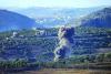 Lebanon says fresh Israeli strike on south kills one