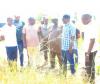 Nasarawa Assembly visits Jangwa Rice Farm, hails State Government agricultural drive as mass harvest kicks off.