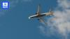 Australia records highest number of aircraft bird strikes in over a decade
