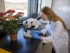 Niagara College: Leading applied research in key agri-food sectors