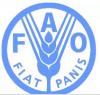 FAO backs gender-responsive agric policies