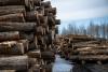 ‘Bad for everybody’: How Trump’s tariffs threaten Nova Scotia’s lumber industry — and Boston’s housing market