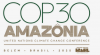 Bayer and Brazil — the lobbying behind COP30