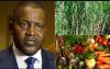 Dangote Restoring Value To Agriculture, Sponsors 2025 Agric Show.