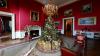 Michigan farm provides the 2025 White House Christmas tree