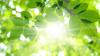 Science BGR Scientists Achieved Infinite Clean Energy Through Artificial Photosynthesis
