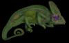 Scientists discover chameleon’s telephone-cord-like optic nerves