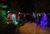 2nd Annual Denmark Christmas Tree Lighting on Saturday
