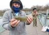 Fewer trout coming for winter urban fishing in Arkansas
