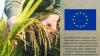 EU agreement on clampdown against unfair agri-food practices