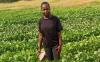 Strategies needed to attract more African agri graduates to farming