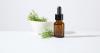 EU regulatory update: tea tree oil use in cosmetics faces new rules