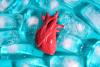 A 100-Year-Old Problem Solved? Scientists Discover How To Freeze Organs Without Cracking Them