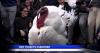 2 Turkeys pardoned in Washington D.C.