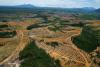 European Parliament backs delaying landmark anti-deforestation law