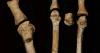 Mystery owner of ancient foot found in Africa identified, scientists say