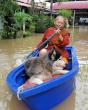 Engaged Buddhism: INEB Launches Emergency Appeal to Assist Female Monastics After Record Floods Inundate Southern Thailand