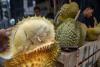 Time for Indonesian durian to triumph in the global market