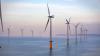 ESB, Orsted win 900 MW Irish offshore wind tender
