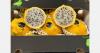 "Pitahaya set to become a regular item on supermarket shelves"