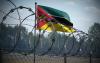 Over 50,000 flee terrorist violence in Mozambique