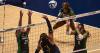 Volleyball struggles in sweep to Arizona