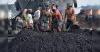 DVC secures 3 coal blocks in 13th auction, boosting revenue and employment