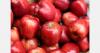 EU apples enter Brazil with new three-year promotion program