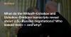 What do the Witkoff–Ushakov and Ushakov–Dmitriev transcripts reveal about U.S.–Russian negotiations? Who leaked them — and why?
