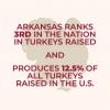 Arkansas ranks third nationally in turkey production ahead of Thanksgiving