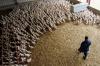 Bird flu virus could risk pandemic worse than COVID if it mutates, France’s Institut Pasteur says