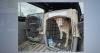 Fifteen New Mexico shelter dogs arrive in Madison