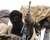 Bandits abduct 24, blind man in fresh attacks on Niger communities