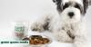 This Plant-Based Pet Food Startup Thinks Your Dog Needs To Eat Salad