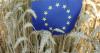 EU bioeconomy strategy: What it means for food
