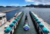 Delivery of the third and launching of the fourth Brazilian Scorpène® submarines
