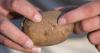 Scots scientists to turn potato scraps into skincare and make-up