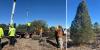 Hualapai Nation gifts Christmas tree for Arizona State Capitol