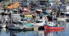 Cornwall's oldest fishing business bought by Falkland Islands firm