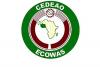 ECOWAS Suspends Guinea-Bissau After Military Coup