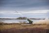 Denmark acquires NASAMS air defence from KONGSBERG