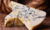 Lifestyle Nautilus What Cheese Mold Can Teach Us About Evolution